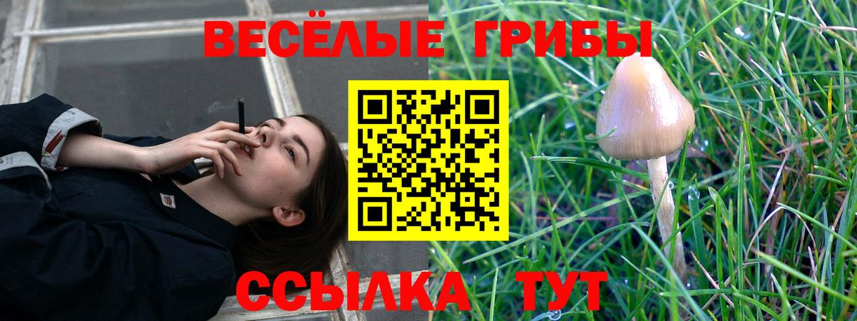 Псилоцибиновые грибы Magic Shrooms Буйнакск