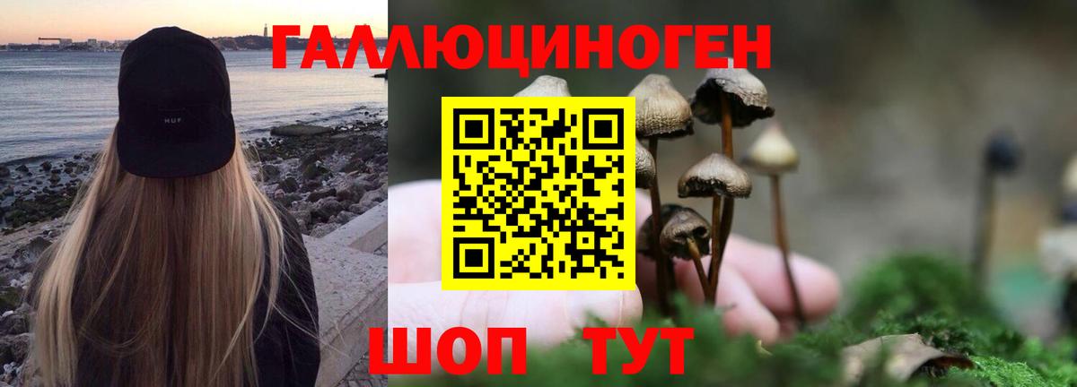 Псилоцибиновые грибы GOLDEN TEACHER  Вход с VPN  Галлюциногенные грибы прущие грибы  Буйнакск 